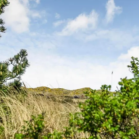 Дом отдыха Bv204-blavand-sydslugen-24 *